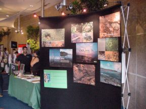 Exhibition at Suntec City